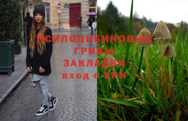 сатива Алексеевка