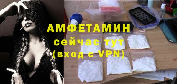 дмт Абаза
