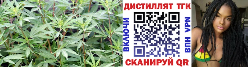ТГК вейп  Ахтырский 