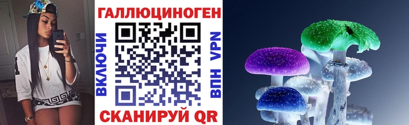 Псилоцибиновые грибы Psilocybine cubensis Ахтырский