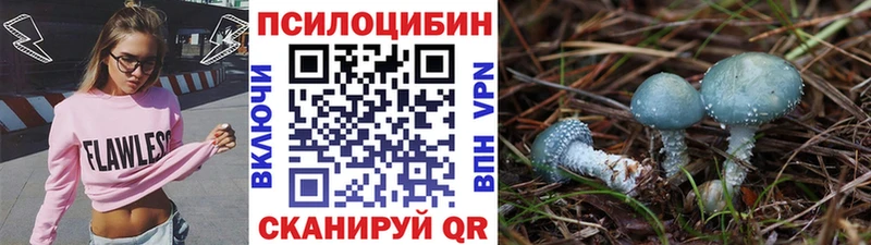 Псилоцибиновые грибы прущие грибы  Ахтырский 
