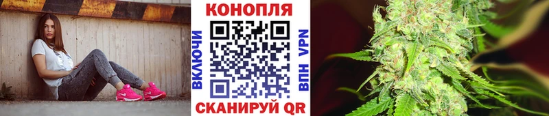 OMG ONION  купить  цена  Ахтырский  Шишки марихуана сатива 